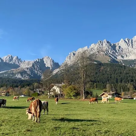 Charmantes Chalet-eckhaus Mit Alpenflair Am Wilden Kaiser *